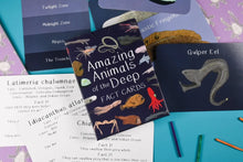 Load image into Gallery viewer, Amazing animal of the deep Fact Cards | Button and Squirt | Hadley Green Home