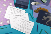 Load image into Gallery viewer, Amazing animals of the deep fact cards for kids | Button and Squirt | Hadley Green Home