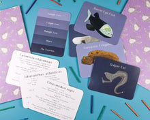 Load image into Gallery viewer, Amazing animals of the deep fact cards for kids gifts | Button and Squirt | Hadley Green Home