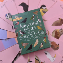 Load image into Gallery viewer, A set of educational fact cards titled 'Amazing Birds of the British Isles' featuring various bird illustrations and information on each bird's common and scientific names, wingspan, and three facts. | Button and Squirt | Hadley Green Home