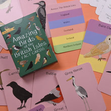 Load image into Gallery viewer, Amazing Birds of the British Isles fact cards | Button and Squirt | Hadley Green Home