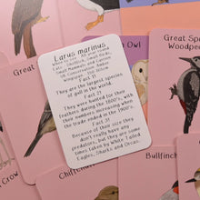Load image into Gallery viewer, Button and Squirt bird fact card | Hadley Green Home