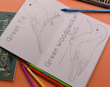 Load image into Gallery viewer, Amazing Birds of the British Isles colouring book, Button and Squirt | Hadley Green Home