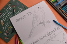 Load image into Gallery viewer, Amazing Birds of the British Isles colouring book, Button and Squirt | Hadley Green Home