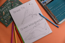 Load image into Gallery viewer, Amazing Birds of the British Isles colouring book, Button and Squirt | Hadley Green Home