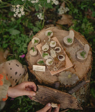 Load image into Gallery viewer, The Fairy Garden Kit play | The Den KIt | Hadley Green Home