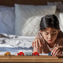 Load image into Gallery viewer, Plan Toys Mini Car Set