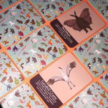 Load image into Gallery viewer, Set of animal-themed cards with a focus on a Sandhill Crane card. | Button and Squirt | Hadley Green Home