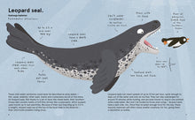 Load image into Gallery viewer, Worlds most atrocious animals book by Philip Bunting | Hadley Green Home