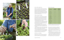 Load image into Gallery viewer, Productive Garden | Stephanie Hafferty | Hadley Green Home