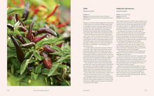 Load image into Gallery viewer, Productive Garden | Stephanie Hafferty | Hadley Green Home