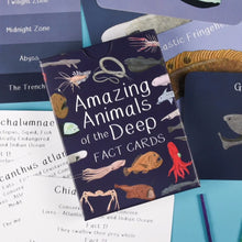 Load image into Gallery viewer, A set of educational fact cards titled 'Amazing Animals of the Deep' with illustrations of various ocean animals, along with their common and scientific names, conservation status, and fun facts. | Button and Squirt | Hadley Green Home