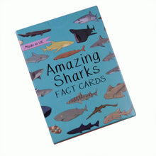 Load image into Gallery viewer, Amazing Sharks Fact Cards | Button and Squirt | Hadley Green Home