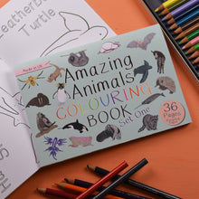 Load image into Gallery viewer, Amazing Animals Colouring Book | Hadley Green Home