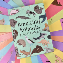 Load image into Gallery viewer, Amazing Animal Set Fact Cards | Button and Squirt | Hadley Green Home