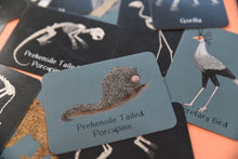 Load image into Gallery viewer, Inside Out Matching pairs Card Game Prehensile Tailed Porcupine | Button and Squirt | Hadley Green Home