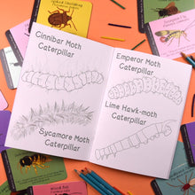Load image into Gallery viewer, Amazing British Bugs Colouring Book, caterpillar | Button and Squirt | Hadley Green Home
