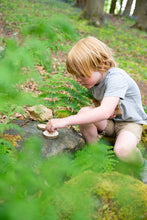 Load image into Gallery viewer, The Mini Bird Pizza Kit The Den Kit | Little Twidlets