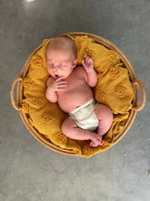 Load image into Gallery viewer, Newborn Nappy Hire Kit Loan (£45 + deposit)