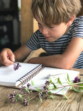 Load image into Gallery viewer, The Herbarium Kit - The Den Kit | Little Twidlets