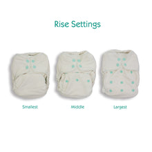 Load image into Gallery viewer, Thirsties Fitted rise settings Little twidlets