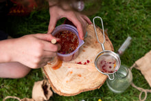 Load image into Gallery viewer, Potion Making Kit - The Den Kit contents. Little Twidlets