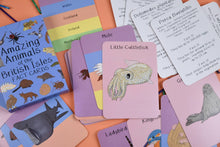 Load image into Gallery viewer, Collection of educational fact cards about animals on a colourful surface | Button and Squirt | Hadley Green Home 
