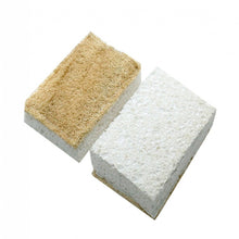 Load image into Gallery viewer, Two loofah sponges on a white background | Eco Living | Hadley Green Home
