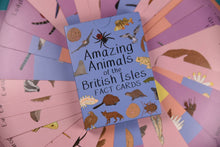Load image into Gallery viewer, Card with &#39;Amazing Animals of the British Isles&#39; title on a pink background with animal illustrations. | Button and Squirt | Hadley Green Home
