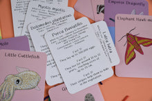Load image into Gallery viewer, Educational cards with illustrations and text on a colourful background | Button and Squirt | Hadley Green Home
