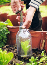 Load image into Gallery viewer, Person holding a small plant over a clear plastic bottle with water, surrounded by potted plants. | Hadley Green Home 
