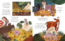 Load image into Gallery viewer, 5 Minute Nature Stories - Hardback book

