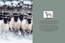 Load image into Gallery viewer, Sheep walking through snow  | Hadley Green Home
