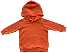 Load image into Gallery viewer, Beeboobuzzkidsorangehoodie | Little Twidlets 
