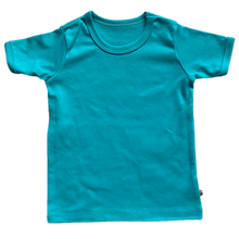 Load image into Gallery viewer, Beeboobuzz Short Sleeved T-Shirts 1-2 Years
