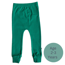 Load image into Gallery viewer, Green baby leggings  with age label '2-3 years' on a white background | Hadley Green Home
