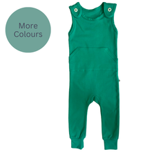 Load image into Gallery viewer, Beeboobuzz Dungarees Age 3-4 Years

