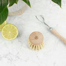 Load image into Gallery viewer, Wooden Replacement Head For Dish Brush - Plant Based Bristles
