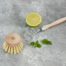 Load image into Gallery viewer, Wooden Replacement Head For Dish Brush - Plant Based Bristles
