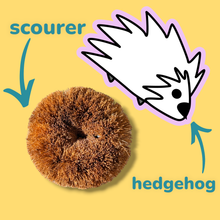 Load image into Gallery viewer, Hedgehog Coconut Scourers (2 pack) | Washing Up Scourers
