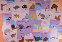 Load image into Gallery viewer, Collection of educational cards with various animals and insects on a colorful background | Button and Squirt  Hadley Green Home 
