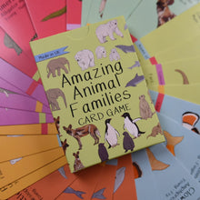 Load image into Gallery viewer, Amazing Animal Families Card Game | Button and Squirt | Little Twidlets
