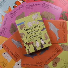 Load image into Gallery viewer, Amazing Animal Families Card Game | Button and Squirt | Little Twidlets
