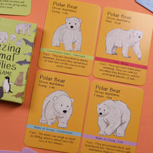 Load image into Gallery viewer, Amazing Animal Families Card Game | Button and Squirt | Little Twidlets
