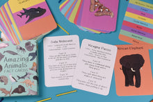 Load image into Gallery viewer, Amazing Animal Set Fact Cards | Button and Squirt Little twidlets
