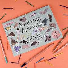 Load image into Gallery viewer, Amazing Animals Colouring Book little Twidlets
