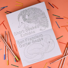 Load image into Gallery viewer, Amazing Animals Colouring Book little Twidlets
