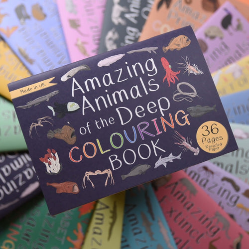 Amazing Animals of the deep Colouring Book little Twidlets 