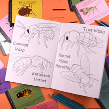 Load image into Gallery viewer, Amazing British Bugs Colouring Book | Button and Squirt
