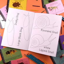 Load image into Gallery viewer, Amazing British Bugs Colouring Book | Button and Squirt
